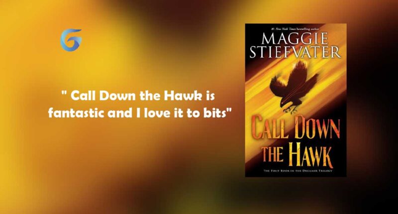 Call Down the Hawk : By - Maggie Stiefvater is fantastic and I love it to bits.