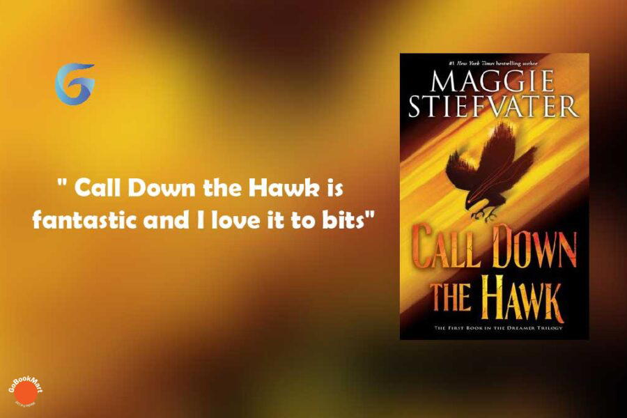 Call Down the Hawk By - Maggie Stiefvater
