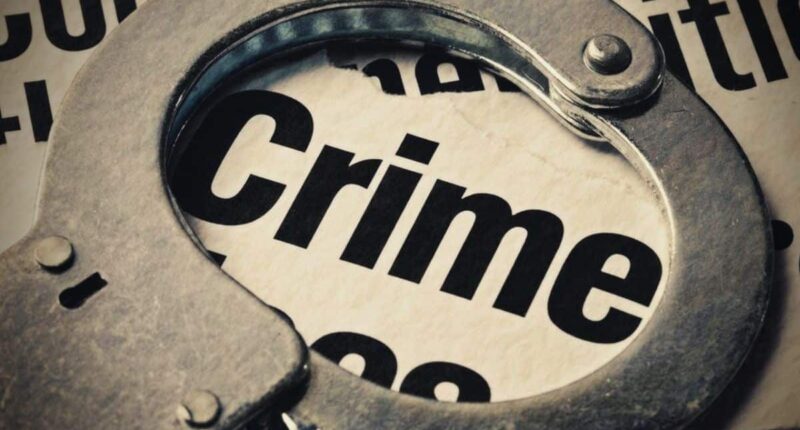 Best True Crime Books You Should Read