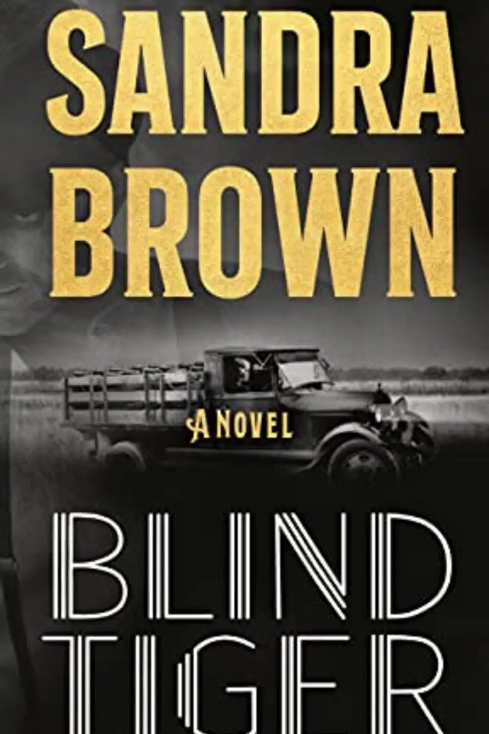 Blind Tiger By Sandra Brown | Book Review And Podcast