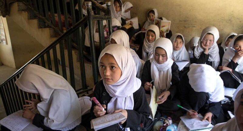 Impact des talibans sur l'éducation des femmes en Afghanistan à l'avenir