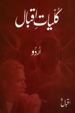 10 Best Books On Urdu Poetry