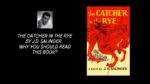 The Catcher In The Rye By J.D. Salinger Why You Should Read This Book 2