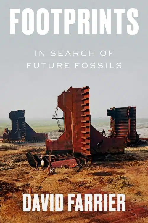 Novels set in post human world