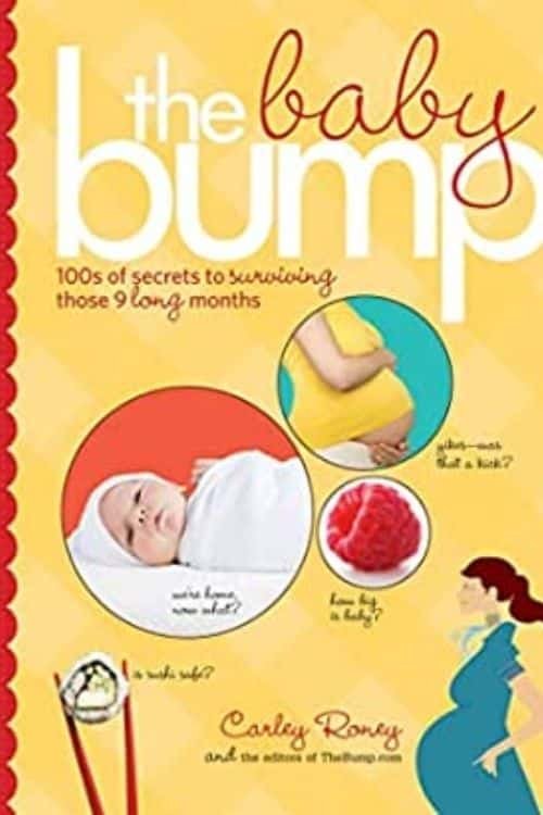 10 meilleurs guides au moment de la grossesse (The Baby Bump)