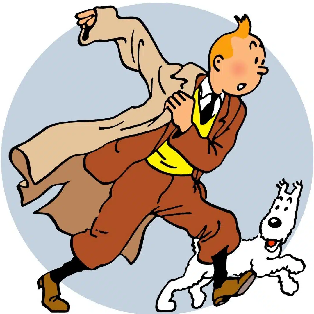 Character from book we never want to perish (Tintin)