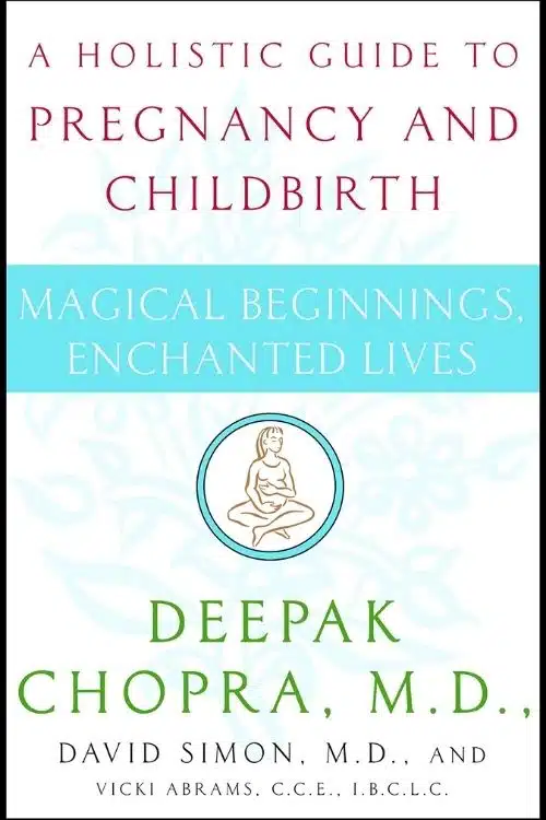 A Holistic Guide to Pregnancy and Childbirth