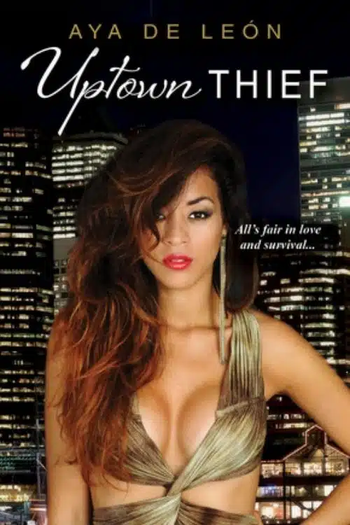 books about heist (Uptown Thief)