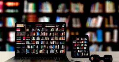 Digital Libraries: Future Of Digital Libraries In India