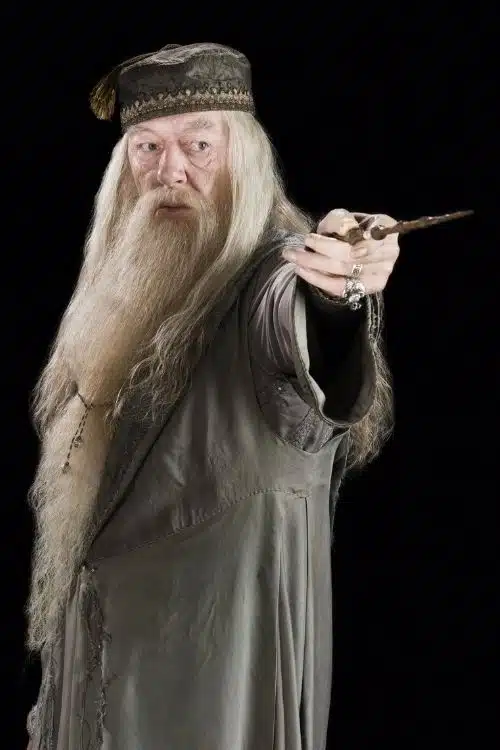 Most Powerful Wizards in the Harry Potter Series ( Albus Dumbledore )