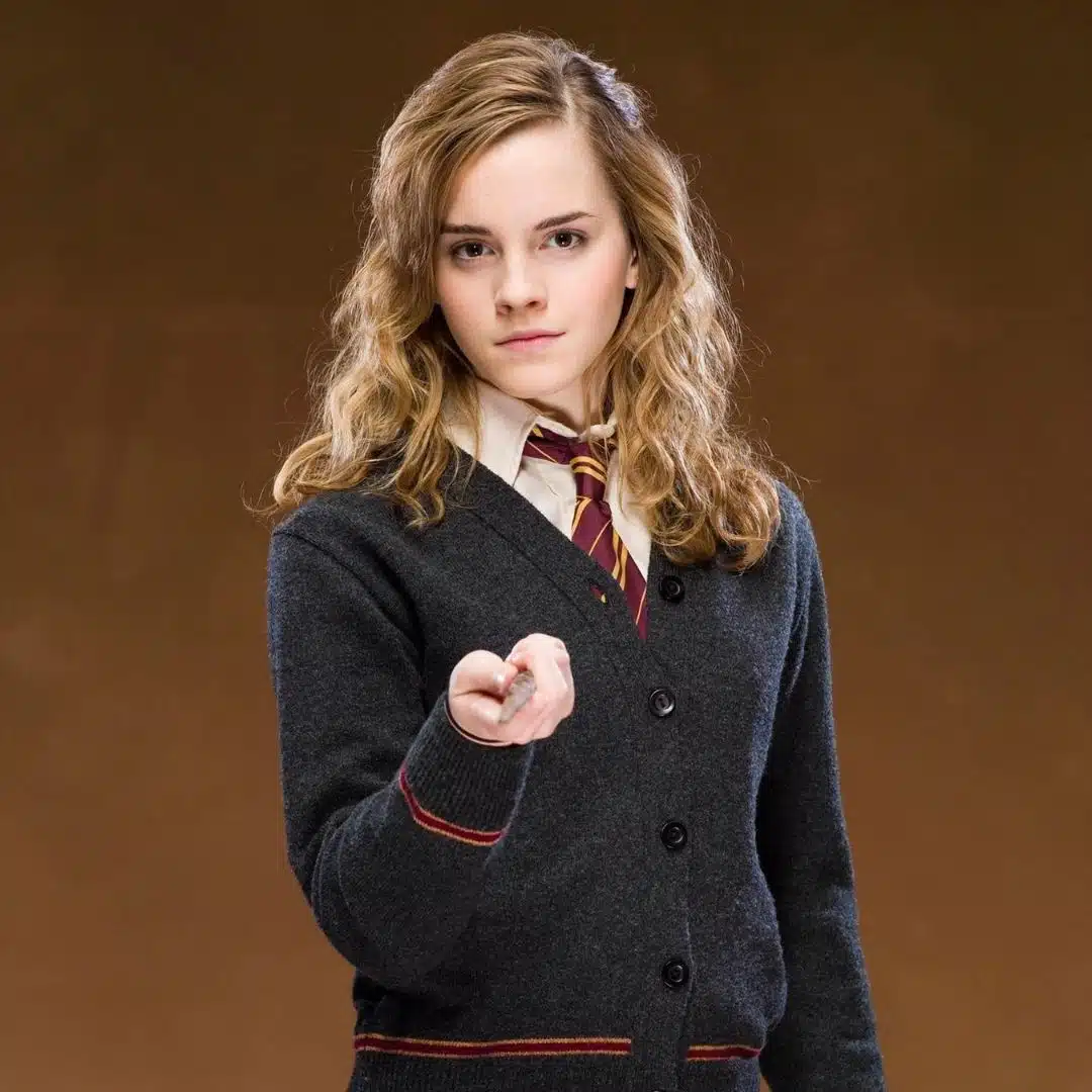 10 Most Loved Fictional Characters from Books - Hermione Granger