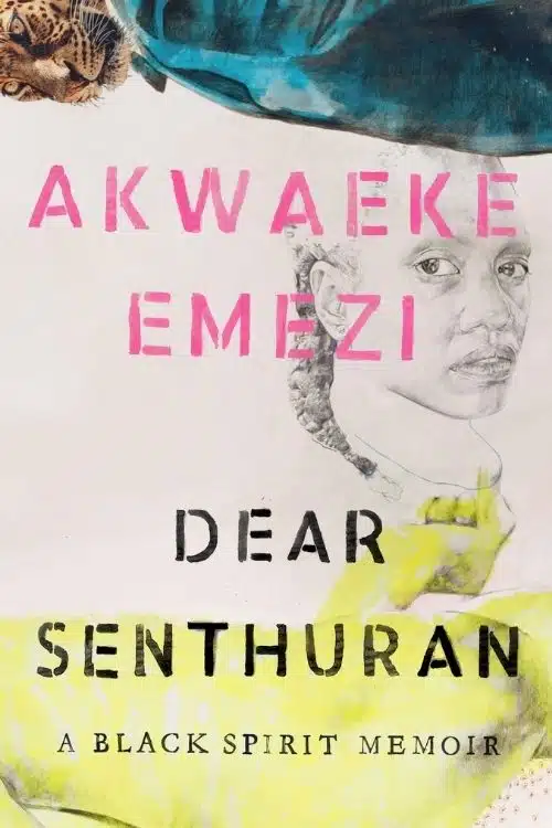 10 best books by African authors in 2021 - Dear Senthuran