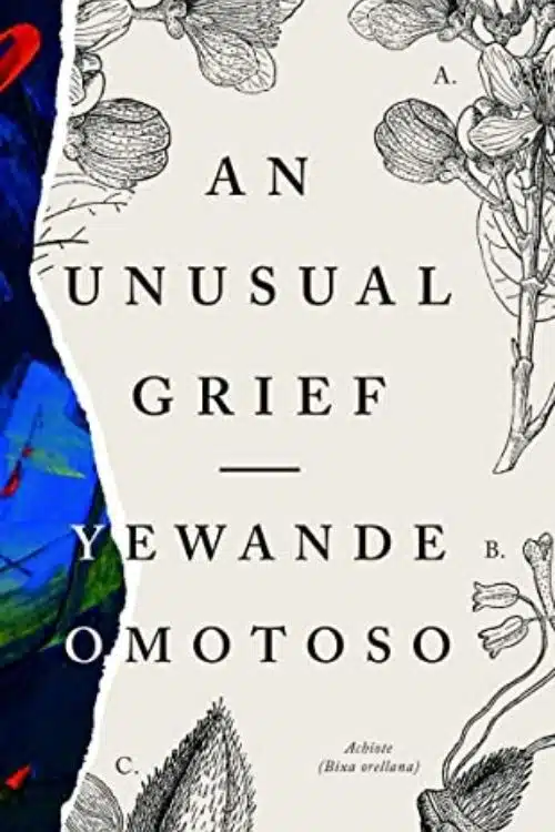 10 best books by African authors in 2021 - An Unusual Grief
