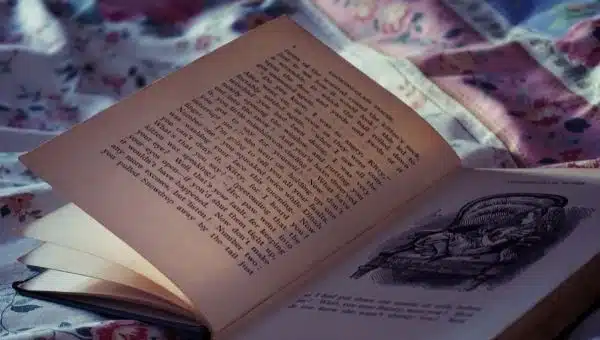 National Story Is Needed Like National Flag to Connect People