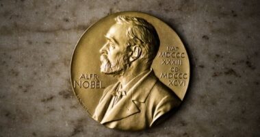 10 Best Books By Nobel Prize Winners You Need To Read Right Now