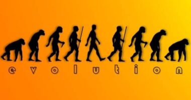 Books that Uncover the Secrets of Human Evolution