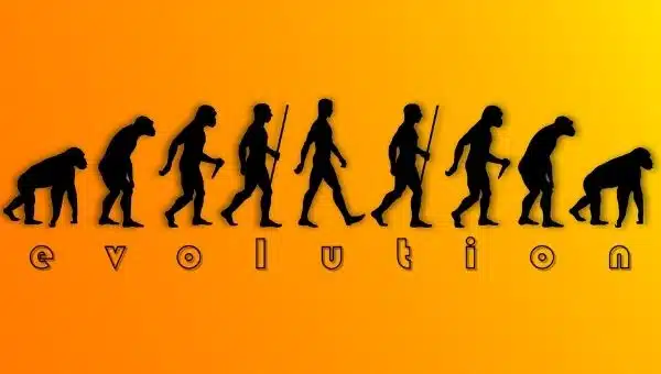 Books that Uncover the Secrets of Human Evolution