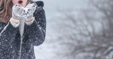 10 Best Books To Read Before Winter Ends | Cosy And Snowy Books