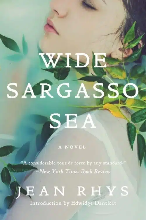 7 Best Story Set on Deserted Island | Abandoned Island Books - Wide Sargasso Sea – Jean Rhys
