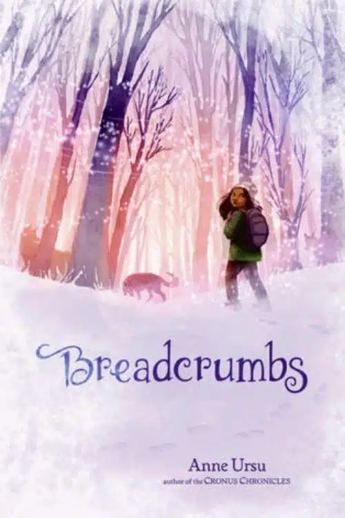 Breadcrumbs by Anne Ursu