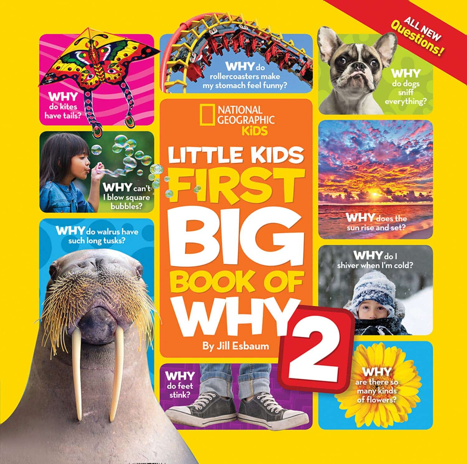 National Geographic Little Kids First Big Book of Why – Amy Shields