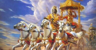 Why Stories Are Important to Our Lives and Culture?￼