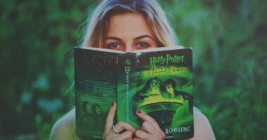 Why We All Love Good Storytelling | Reason of Love Towards Good Story