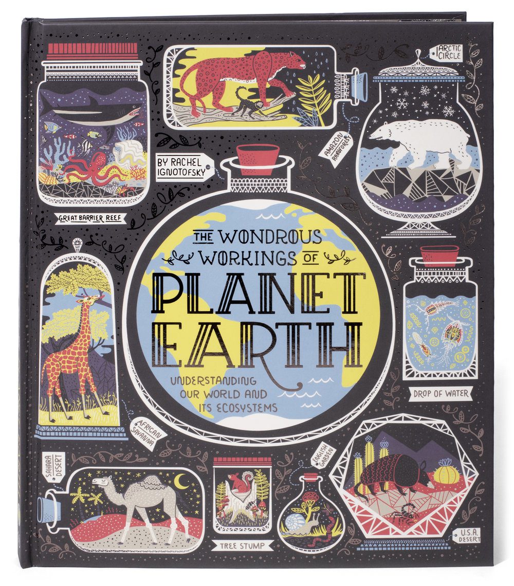 10 Best Non-Fiction Books For Kids - The Wondrous Workings of Planet Earth by Rachel Ignotofsky