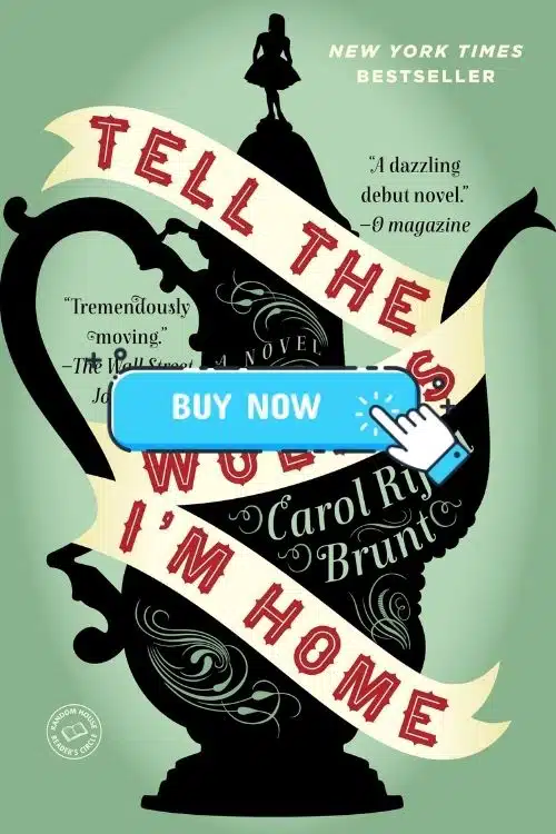 Books on Family Relationships: Books that Teach the True Meaning of Family - Tell the Wolves I’m Home – Carol Rifka Brunt