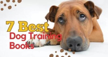 Training Dog: 7 Best Dog Training Books for every Kind of Dog