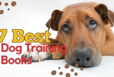 हर प्रकार के कुत्ते के लिए 7 सर्वश्रेष्ठ कुत्ता प्रशिक्षण पुस्तकें