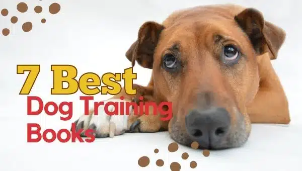 Training Dog: 7 Best Dog Training Books for every Kind of Dog