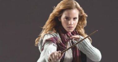 8 Things Harry Learned from Hermione