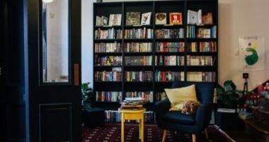 Tips To Spice Up Your Reading Space