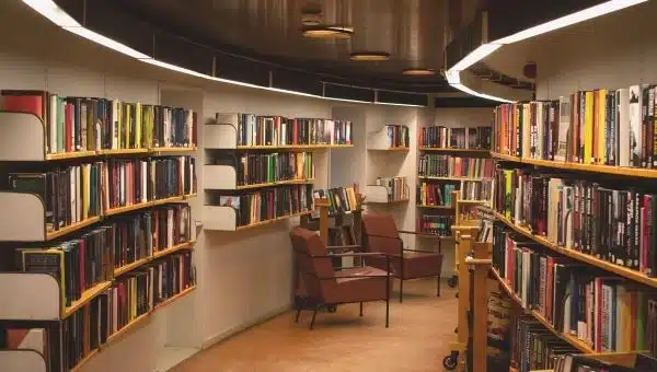 Why More Contemporary Books and Fewer Classics Should Be Assigned by Teachers?