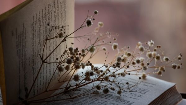 10 Poetry Prompts to Get Out of Writing Slump and Show Creative Writing