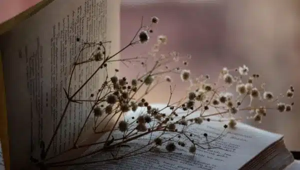 10 Poetry Prompts to Get Out of Writing Slump and Show Creative Writing