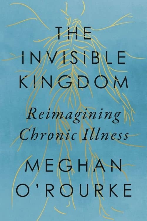 The Invisible Kingdom – Meghan O’Rourke