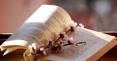 How to Write a Good Poem: Fundamentals of Writing Poetry