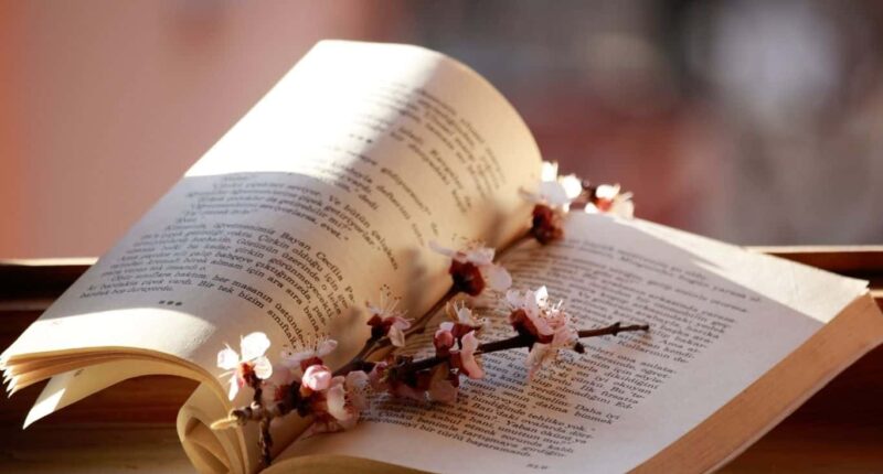 How to Write a Good Poem: Fundamentals of Writing Poetry