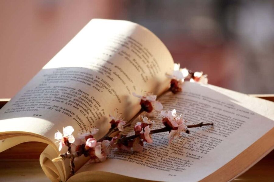 How to Write a Good Poem: Fundamentals of Writing Poetry
