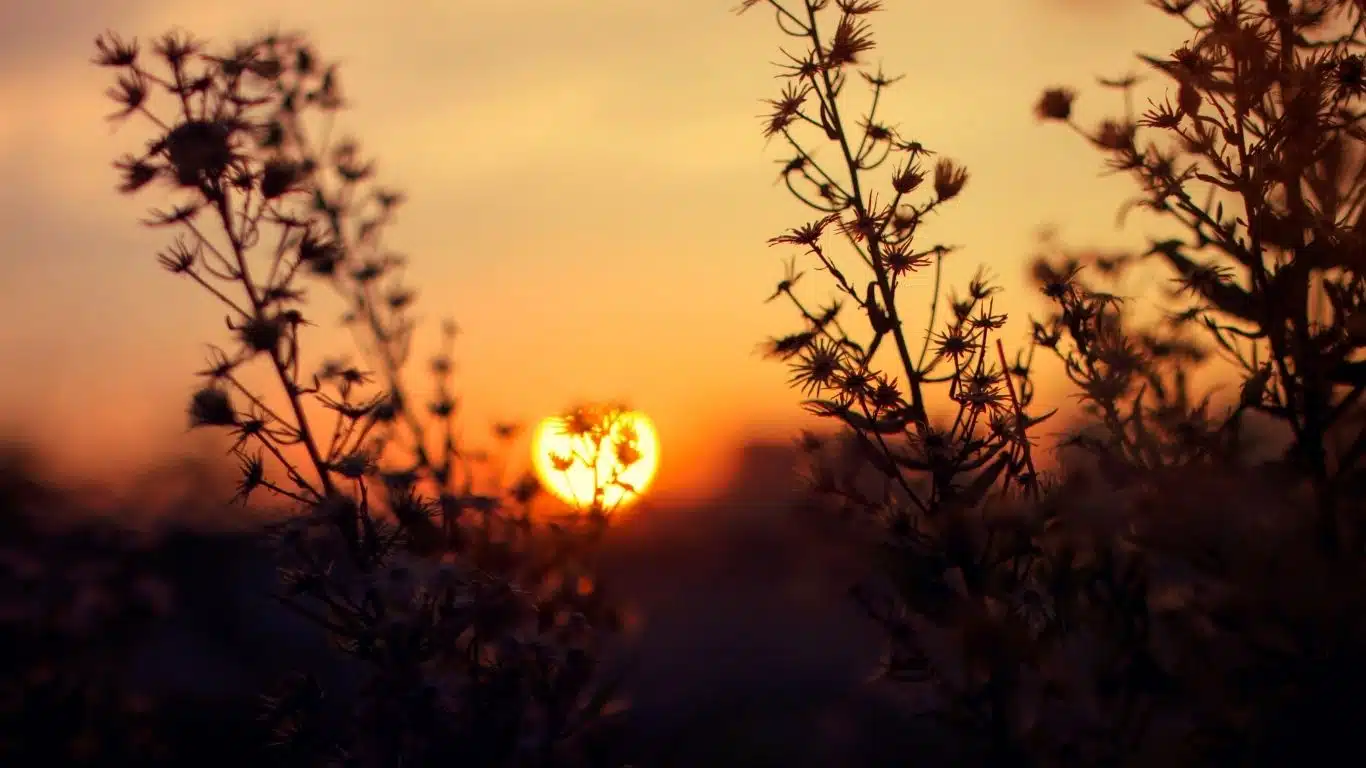 10 Morning Mantras to Start Your Day on a Positive Note