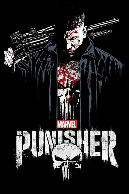 Marvel Shows if you Liked Moon Knight - The Punisher