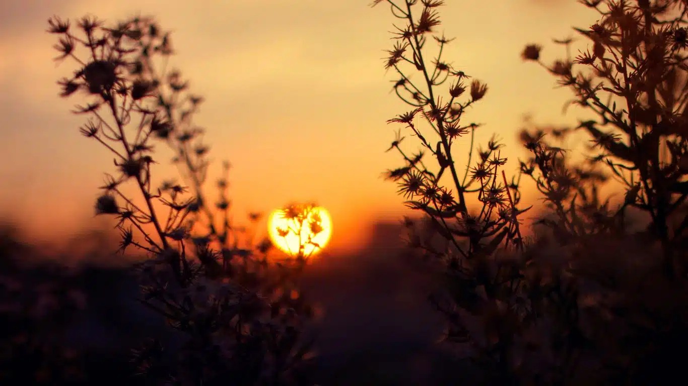 Ten Morning Habits That Will Transform Your Life