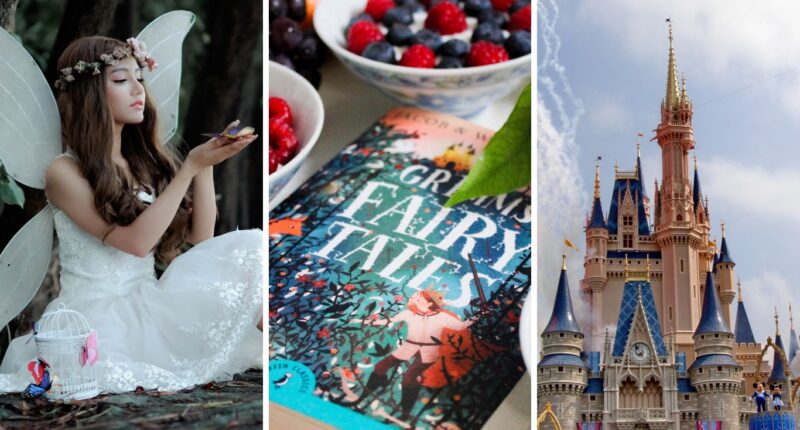 Top 10 Fairy tale Retellings that You Should Read