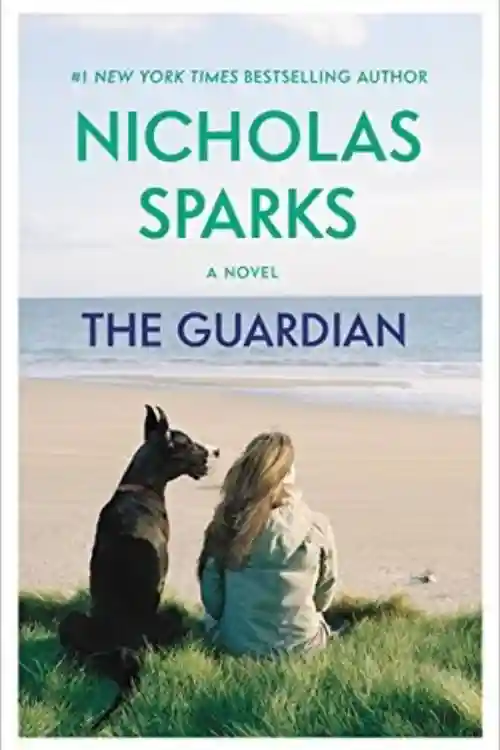 Save the Cat by Blake Snyder