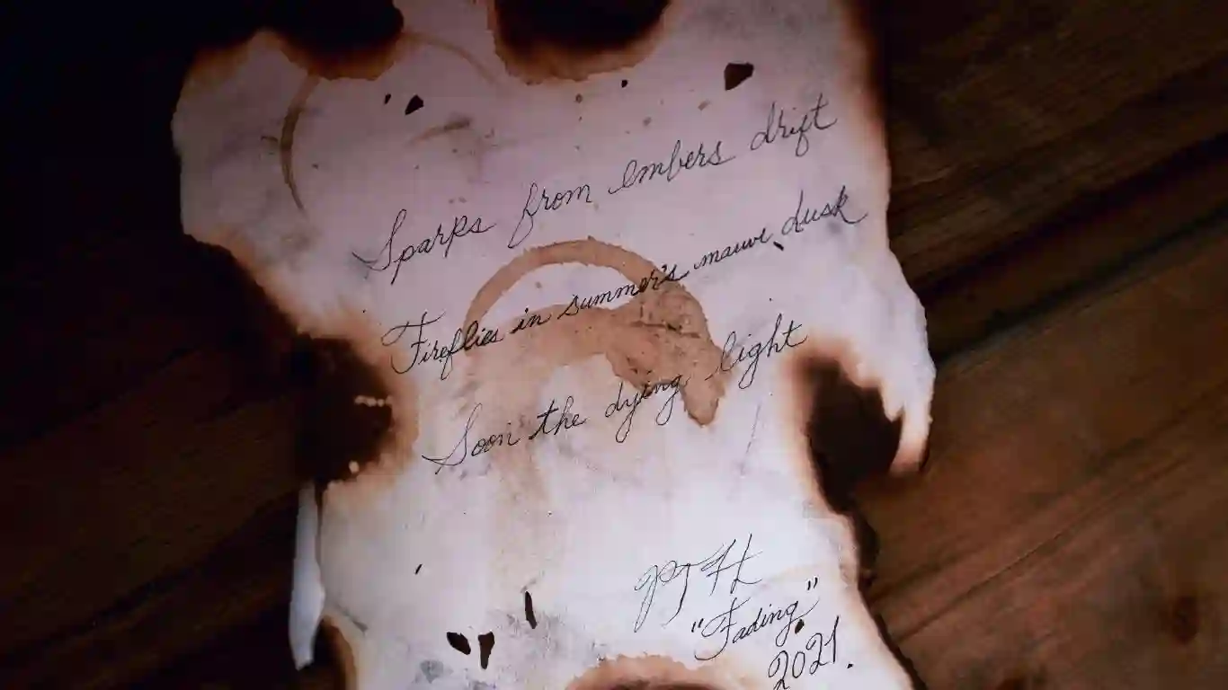 Best Writing Advice For Poetry