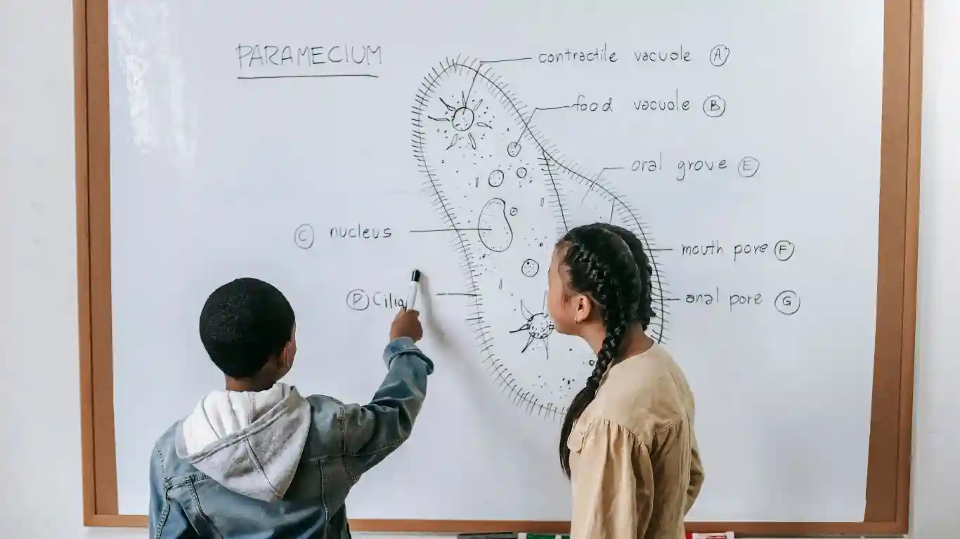 The 7 Learning Styles