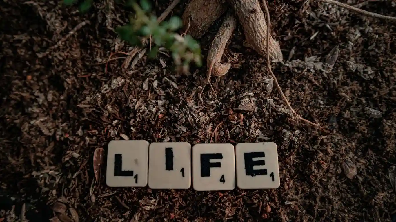 7 Rules of Life Everyone Should Know