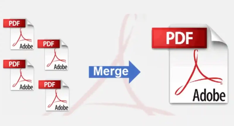 Top 5 Best PDF Merger For Merging PDFs